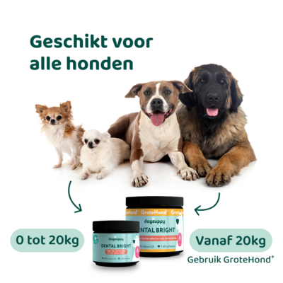 DogSupply Dental Bright