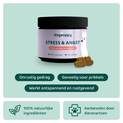 DogSupply Anti-Stress & Angst