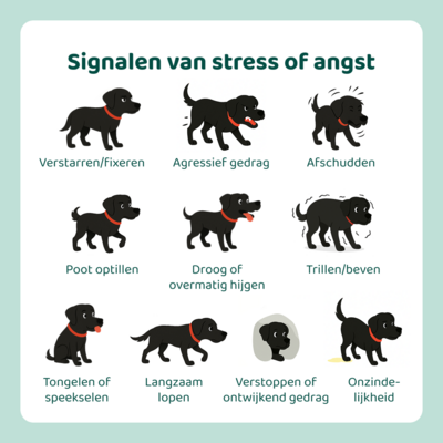 DogSupply Anti-Stress & Angst