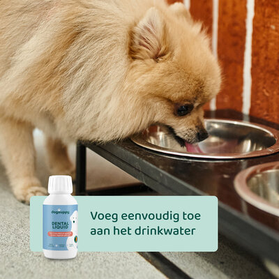 DogSupply Dental Liquid