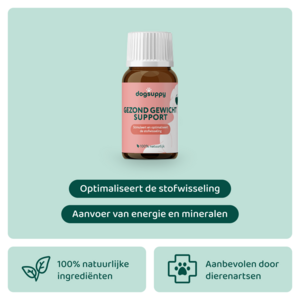 DogSupply Gezond Gewicht Support