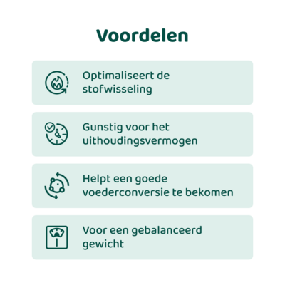 DogSupply Gezond Gewicht Support