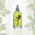 Jimmy Boyd Organic Green Tea & Mint - 200ml of 25ml (Hervulbaar)  of Sample Spray 3ml