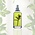 Jimmy Boyd Organic Green Tea & Mint - 200ml of 25ml (Hervulbaar)  of Sample Spray 3ml