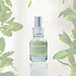 Jimmy Boyd Organic Green Tea & Mint - 200ml of 25ml (Hervulbaar)  of Sample Spray 3ml