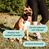DogSupply Glucosamine
