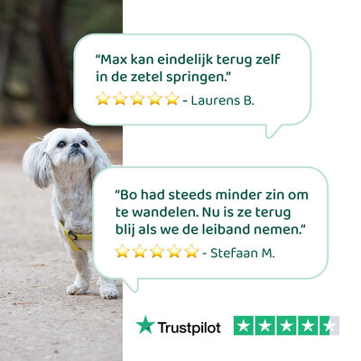 DogSupply Glucosamine