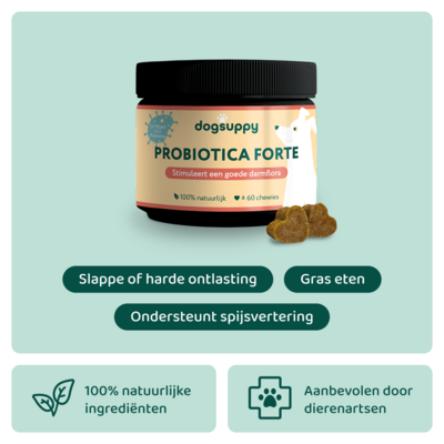 DogSupply Probiotica Forte Chewies