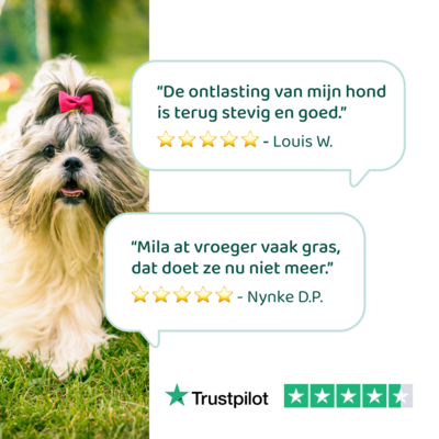 DogSupply Probiotica Forte Chewies