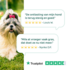 DogSupply Probiotica Forte Chewies