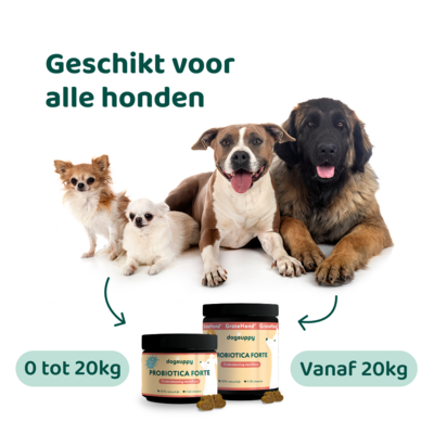 DogSupply Probiotica Forte Chewies