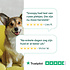DogSupply Honingzalf - 125ml