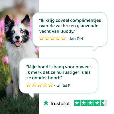 DogSupply Hennepzaadolie - 100ml