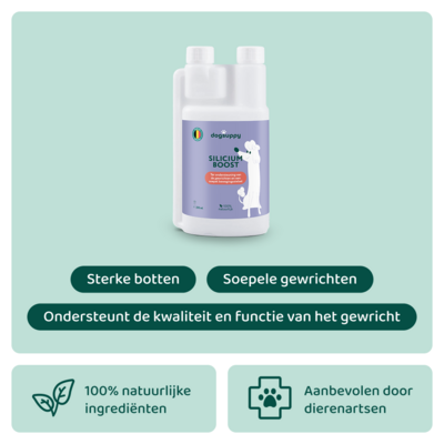 DogSupply Silicium Boost - 250ml
