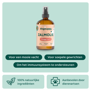 DogSupply Zalmolie - 250ml