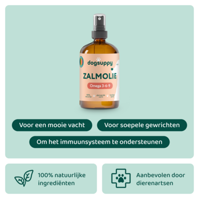 DogSupply Zalmolie - 250ml