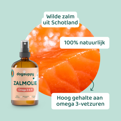 DogSupply Zalmolie - 250ml