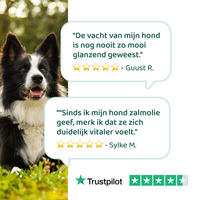 DogSupply Zalmolie - 250ml
