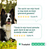 DogSupply Zalmolie - 250ml