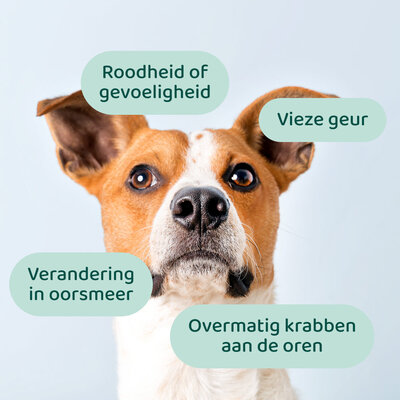 DogSupply Oorreiniger - 100ml