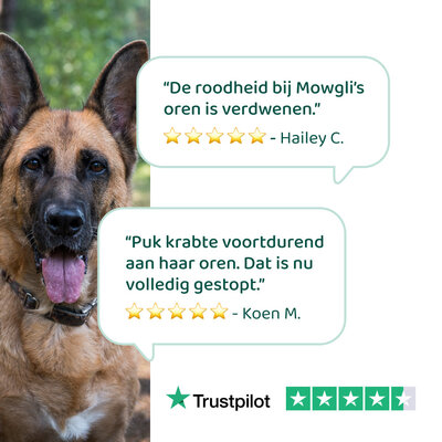 DogSupply Oorreiniger - 100ml