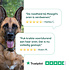 DogSupply Oorreiniger - 100ml