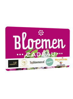 Bloemen Cadeau Fysiek