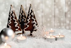 Kerstsfeer buiten: inspiratie voor buiten decoraties