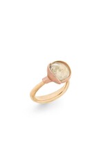 Bg lotus 2 Q rutile 53 LYNGGAARD