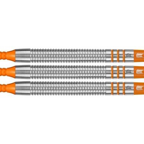 Target Raymond van Barneveld RVB 80% Soft Tip Darts