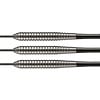 Target Power Silverlight Taylor B 24 g Darts