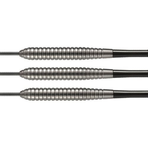 Target Power Silverlight Taylor B 24 g Darts