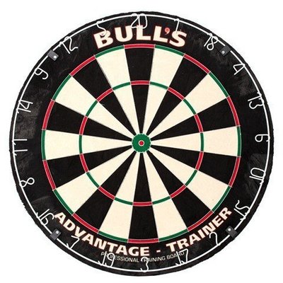 Bull's Advantage Trainer Dartboard