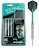 Target Rob Cross Silver Voltage Darts