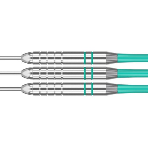 Target Target Rob Cross Silver Voltage Darts