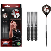 Bull's Bull's Adam Gawlas 90% Darts