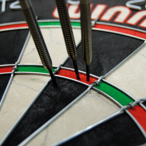 Winmau Winmau Pro SFB - Starters Dartboard