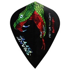 Red Dragon Peter Wright Snakebite Holographic Kite