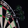 KOTO KOTO ZIZ-Matrix NO2 Green Darts Flights