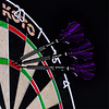 KOTO KOTO ZIZ-Wing NO2 Purple Darts Flights