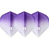 L-Style L-Style Champagne L3 Shape 2-Tone CWH×Purple Darts Flights