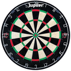 Jupiler Professional Dartboard