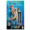 Red Dragon Red Dragon Peter Wright 85% Snakebite 11 Element Darts