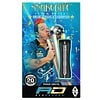 Red Dragon Red Dragon Peter Wright 85% Snakebite 11 Darts