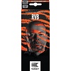 Target Target Raymond van Barneveld RVB Brass Set 22 Pieces Darts