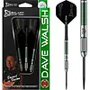 Galaxy Galaxy Dave Walsh - Banned in Boston - 90% Darts