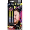 Bull's Bull's Ricky Evans 90% Darts