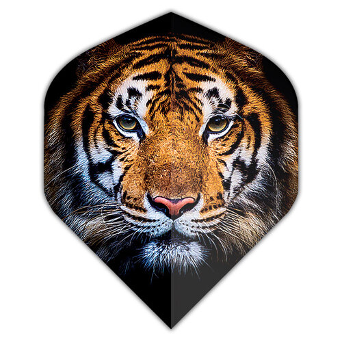 Dartshopper Dartshopper Tiger NO2 Darts Flights