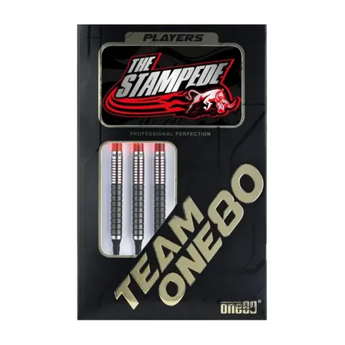 ONE80 ONE80 Akshay Mehta II 90% Soft Tip Darts