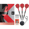 Target Target Gabriel Clemens 95K 95% Soft Tip Darts